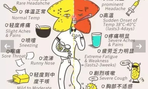 长期服护肝中药注意-吃护肝中药会加重肝负担吗网- 护肝的药会伤肾吗知识,分享吃护肝的药会导致发胖吗
